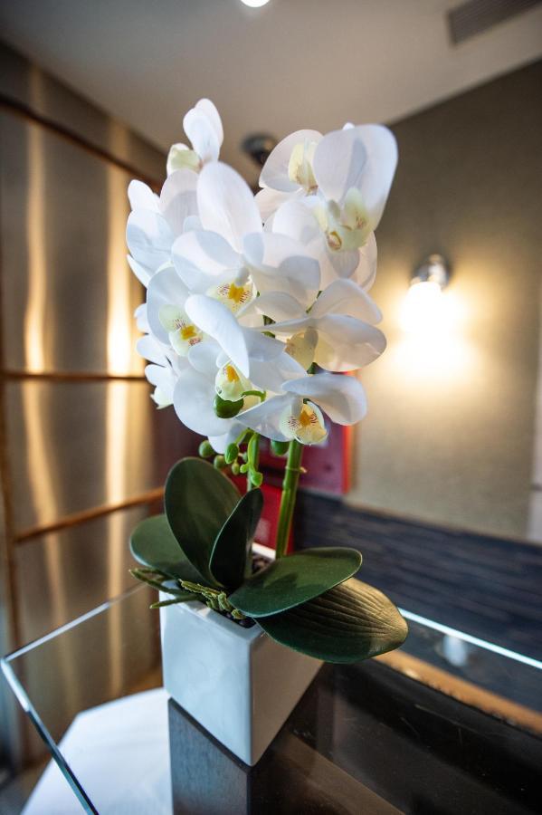 Solita Soho Hotel New York Exterior photo