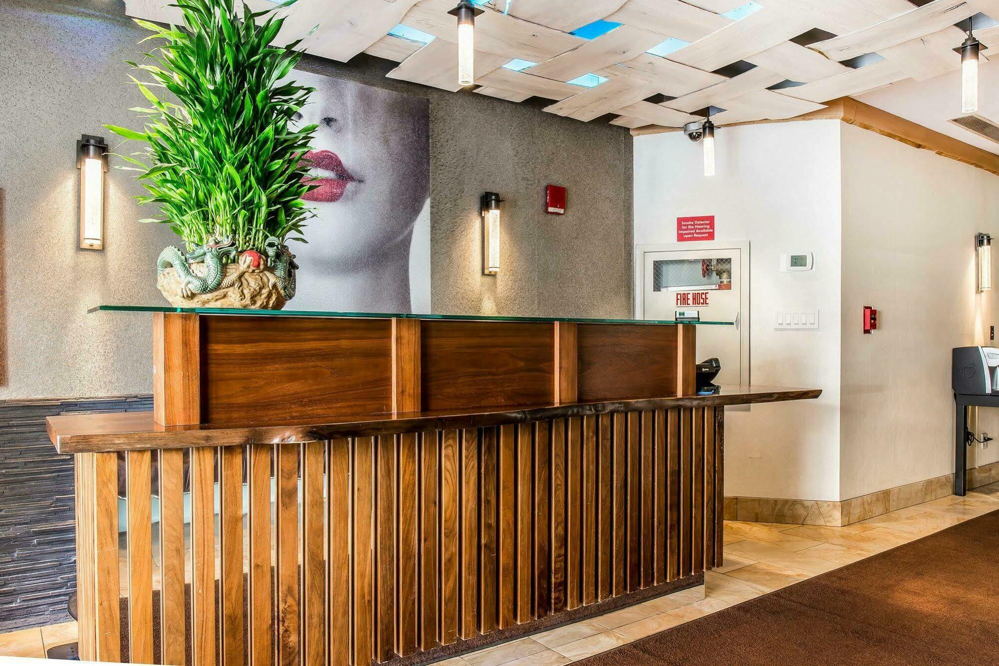 Solita Soho Hotel New York Exterior photo